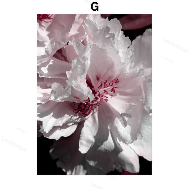 Peony Flower Wall Art Canvas Painting