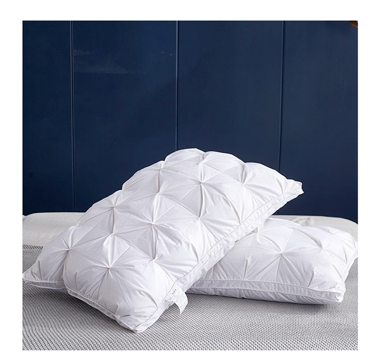 Five-star Hotel 95 White Goose Down Pillow